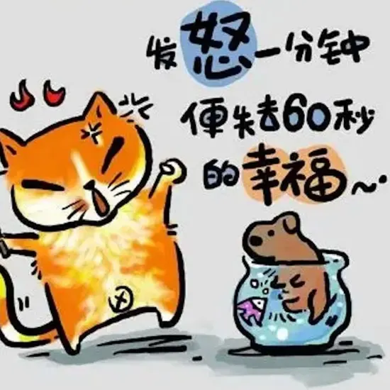 最新上线电视剧